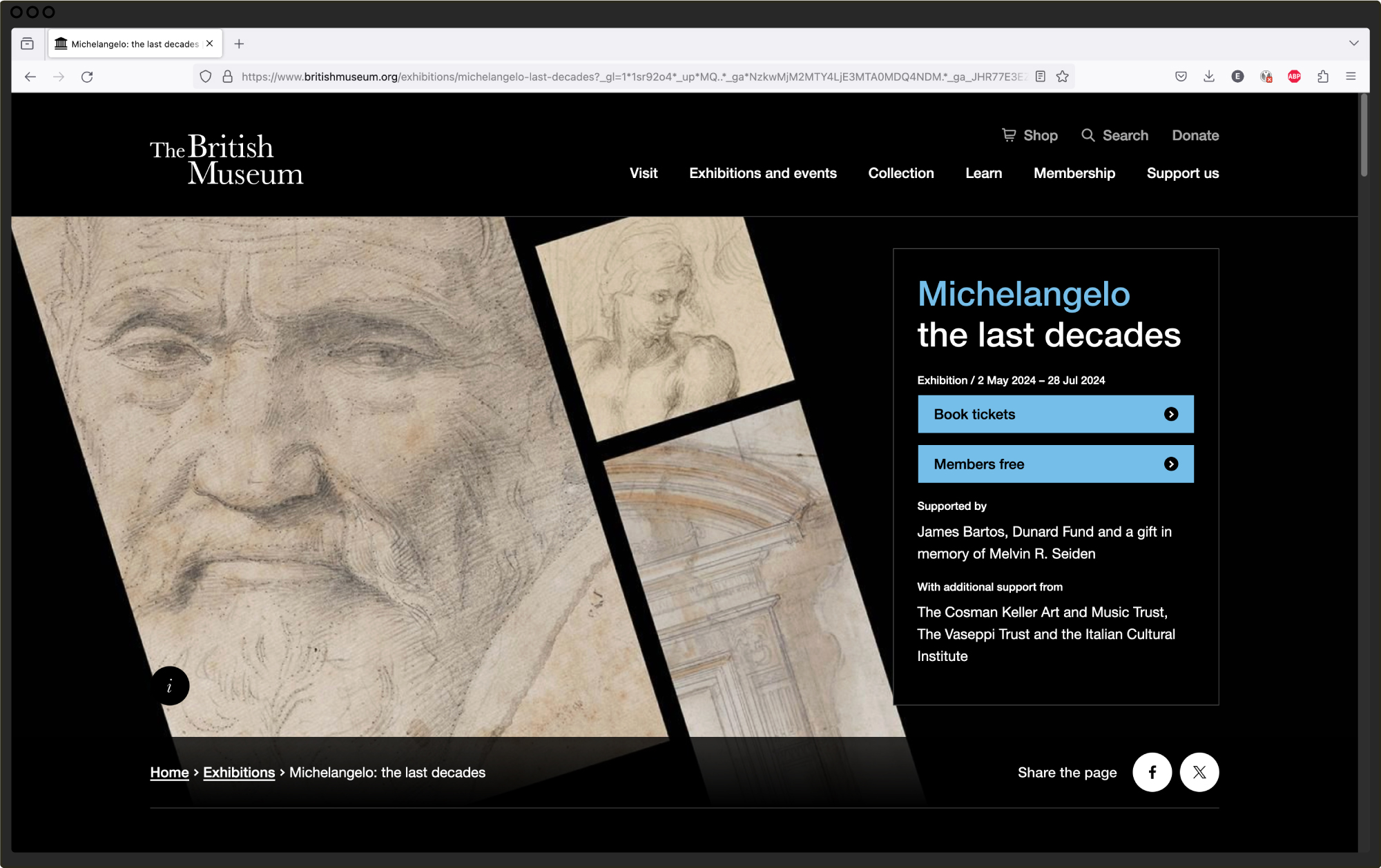 Website hero for 'Michelangelo: the last decades'